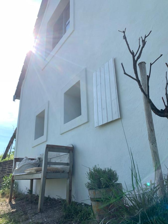 Kisvulkan Nyulontul Appartement